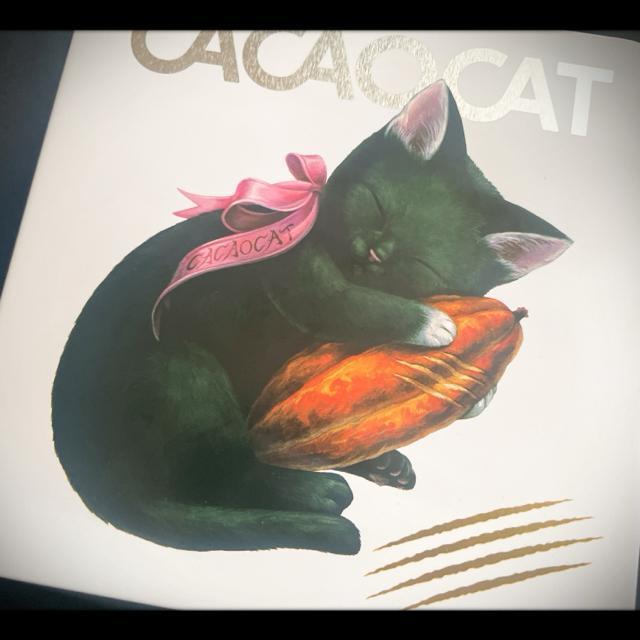 2025 CACAOCAT JJILbg CACAO POD JJI|bh lR A~  