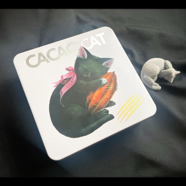 2025 CACAOCAT JJILbg CACAO POD JJI|bh lR A~  