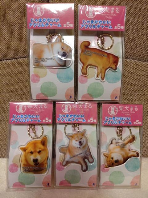 J@Č܂@AN`[@S5ރZbgI܂킢   ybg/|/| 