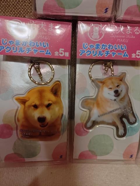 J@Č܂@AN`[@S5ރZbgI܂킢  ybg/|/| 