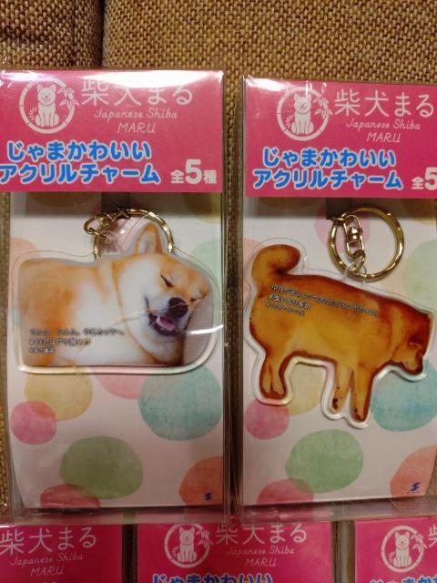 J@Č܂@AN`[@S5ރZbgI܂킢  ybg/|/| 