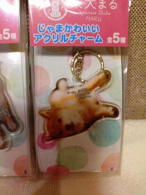 J@Č܂@AN`[@S5ރZbgI܂킢  ybg/|/| 