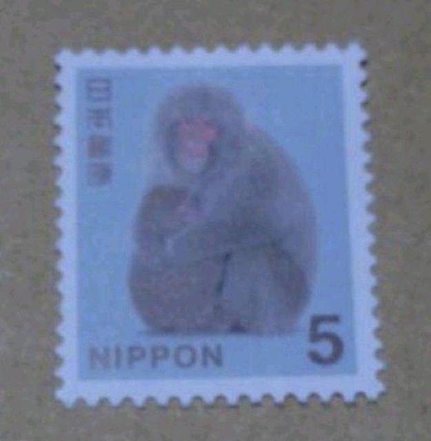 5�~�؎�@1��  �� �z�r�[�� 