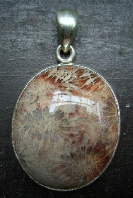 ☆即決☆コーラルアゲートシルバートップ 4センチ < 女性アクセサリー/時計 ☆即決☆コーラルアゲートシルバートップ 4センチ < 女性アクセサリー/時計の