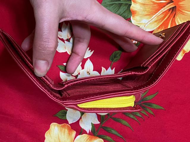 �V�i���g�p��Samantha Vega�� kitty�R���{���Ԑ܂��ݍ��z��