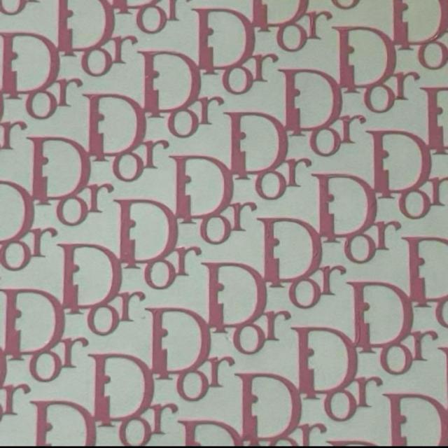 正規品 クリスチャンディオール Christian Dior サロン用 ネイルシール < 香水/コスメ/ネイル 正規品 クリスチャンディオール Christian Dior サロン用 ネイルシール < 香水/コスメ/ネイルの