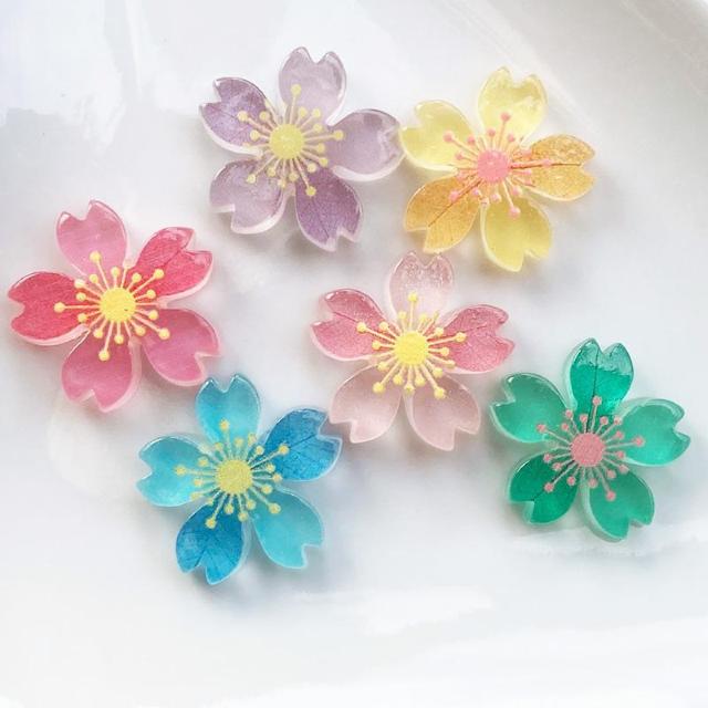 �~�����J�{�V�����U��  �� �y�b�g/��|/���|�� 