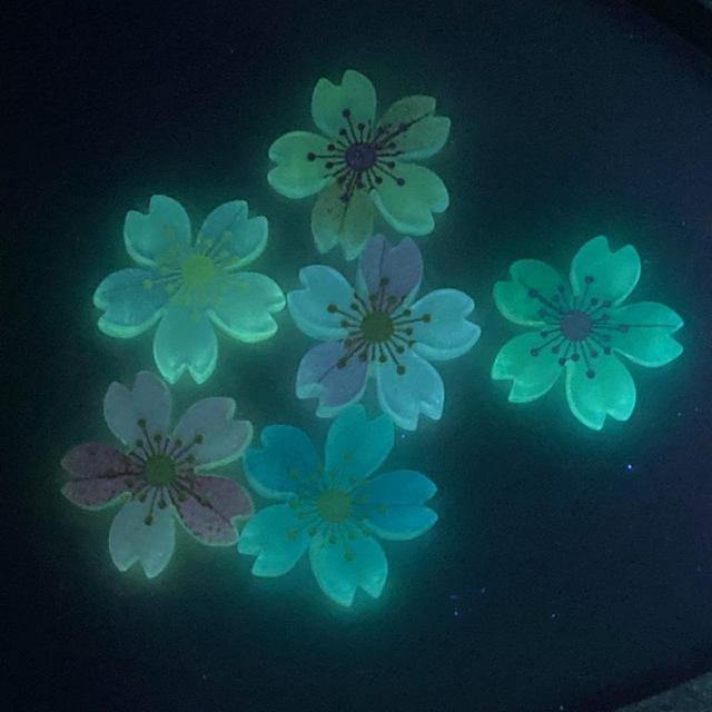 �~�����J�{�V�����U�� �� �y�b�g/��|/���|�� 