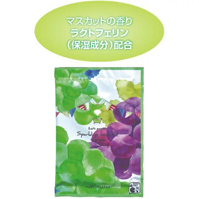 Xp[NOJNe }XJbg܁n[oGNXg{  CeA/Ct 