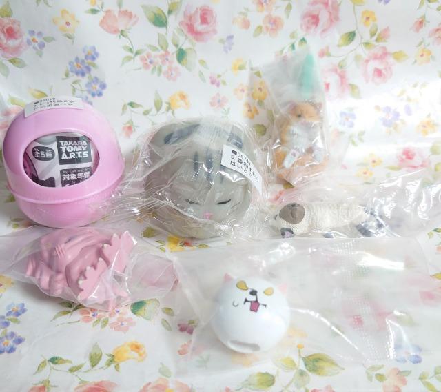 【定形外送料無料】ガチャガチャ○『猫』お得6点セット@ < ホビー  【定形外送料無料】ガチャガチャ○『猫』お得6点セット@  < ホビーの