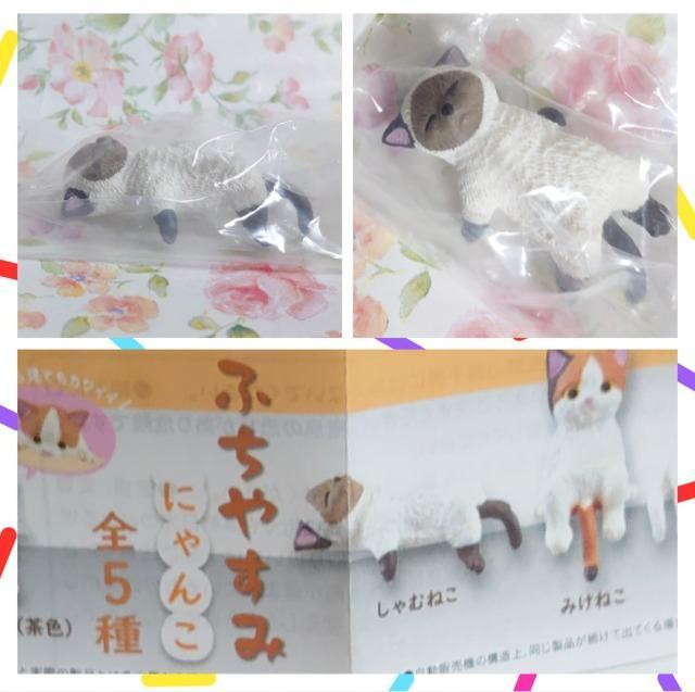 【定形外送料無料】ガチャガチャ○『猫』お得6点セット@ < ホビー  【定形外送料無料】ガチャガチャ○『猫』お得6点セット@ < ホビーの