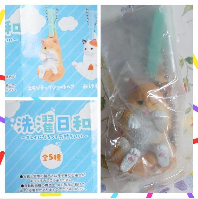 【定形外送料無料】ガチャガチャ○『猫』お得6点セット@ < ホビー  【定形外送料無料】ガチャガチャ○『猫』お得6点セット@ < ホビーの