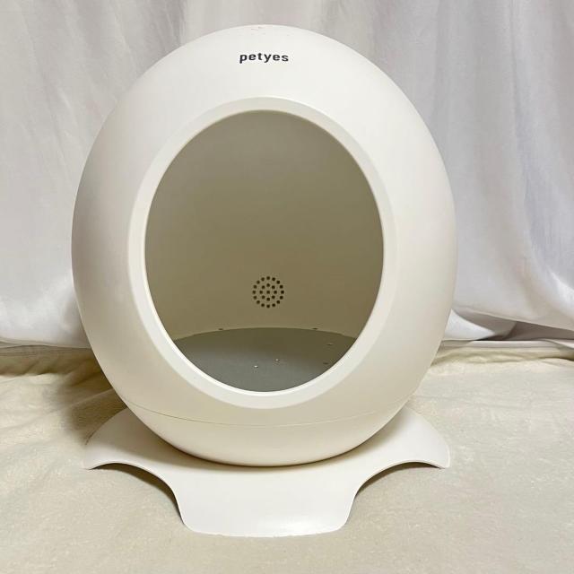 yeBGX [ ybg g[t[ petyes ROOM 񂿂 L p ybgnEX  ybg/|/| 