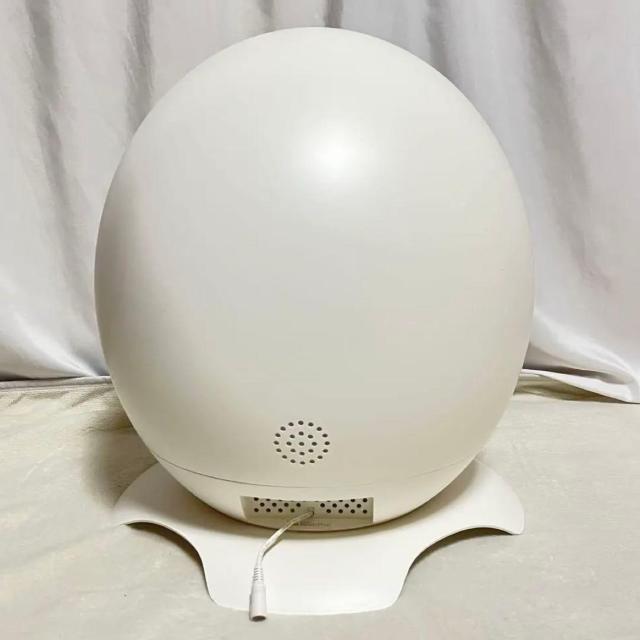 yeBGX [ ybg g[t[ petyes ROOM 񂿂 L p ybgnEX  ybg/|/| 