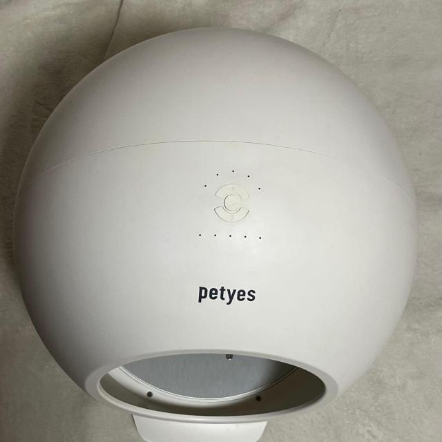 yeBGX [ ybg g[t[ petyes ROOM 񂿂 L p ybgnEX  ybg/|/| 