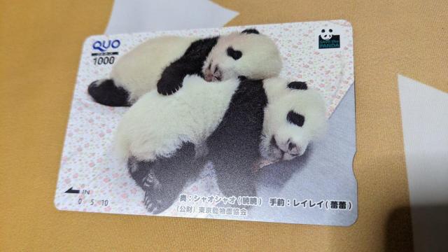 未使用クオカード 1000円分 < チケット/金券 未使用クオカード 1000円分 < チケット/金券の