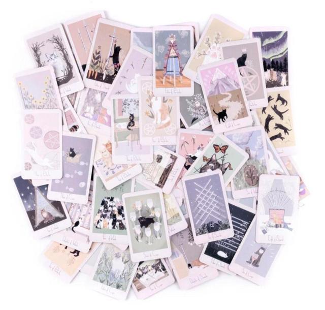 �}�[�K���b�g�ƔL�̃^���b�g�J�[�h 78�� �� �{/�G���� 