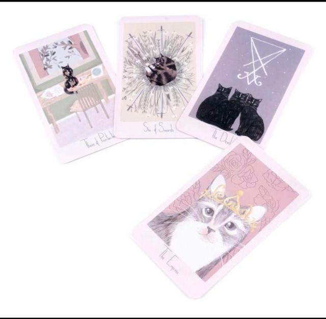 �}�[�K���b�g�ƔL�̃^���b�g�J�[�h 78�� �� �{/�G���� 