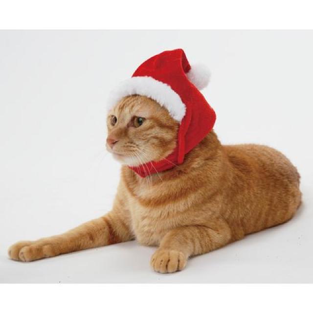 NX}X Lp ϐgقނ T^Vi X'mas  ybg/|/| 