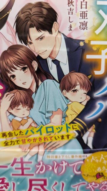 oqpp͍ň̎ɂ߂Ȃꣁx[Y   {/G 