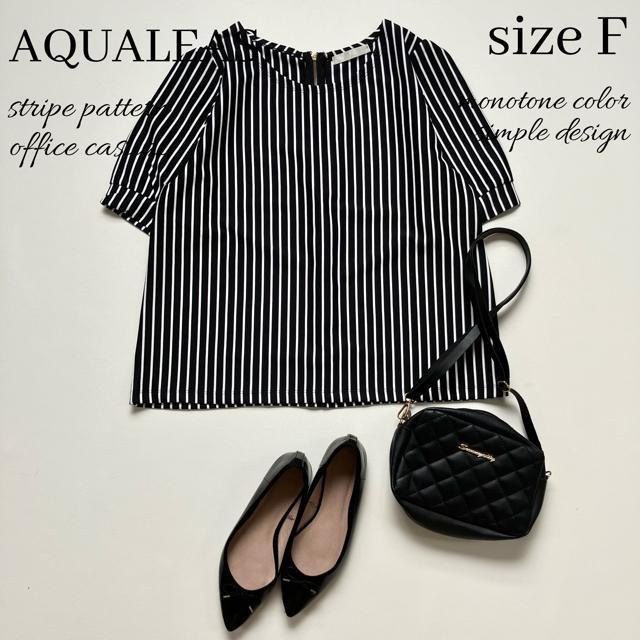 ɔiXgb`fށXgCvJbg\[`bNܕ F   t@bV 