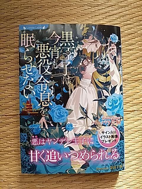 PPV@@q͍ߑ𖰂点Ȃ@@o[oЉ/ޗǐt   {/G 