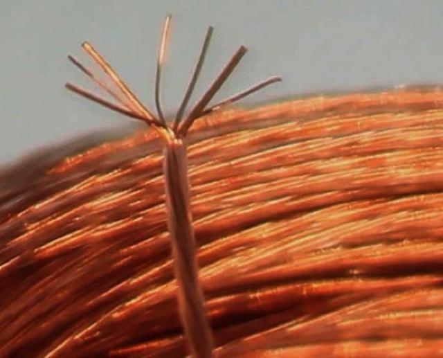 x8N??l̂Cɓł??Vi??1m`  Ɠd/AV 