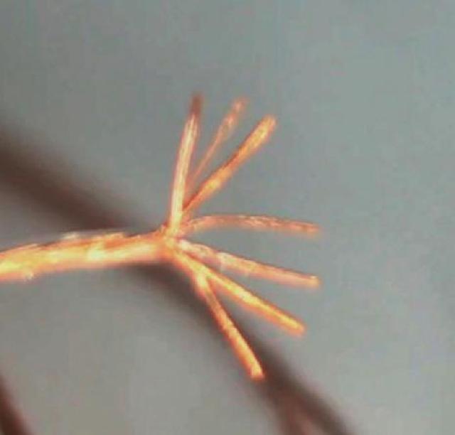 x8N??l̂Cɓł??Vi??1m`  Ɠd/AV 