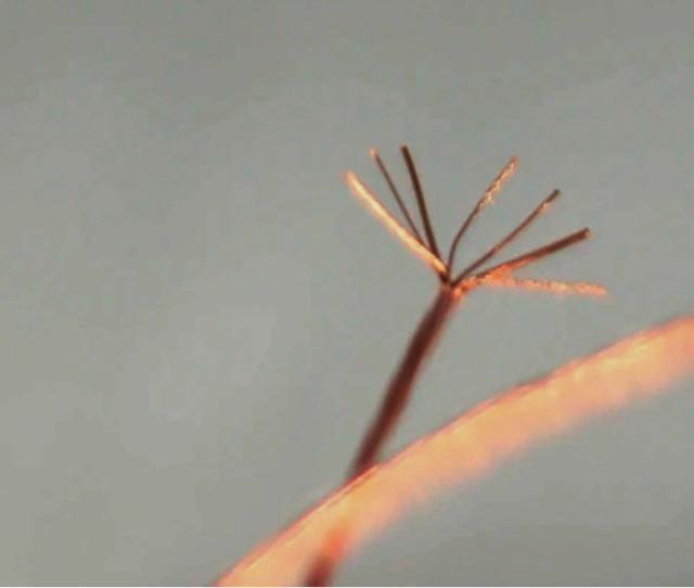 x8N??l̂Cɓł??Vi??1m`  Ɠd/AV 