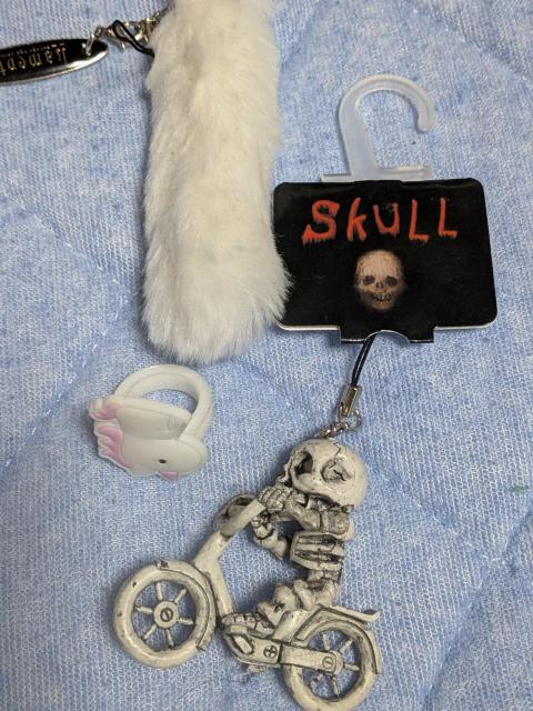 �h�N�����C�_�[�X�g���b�v  �� �z�r�[�� 