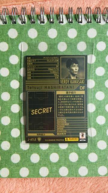 0910 JATLE ハシラタニ < トレーディングカード  0910 JATLE ハシラタニ < トレーディングカードの