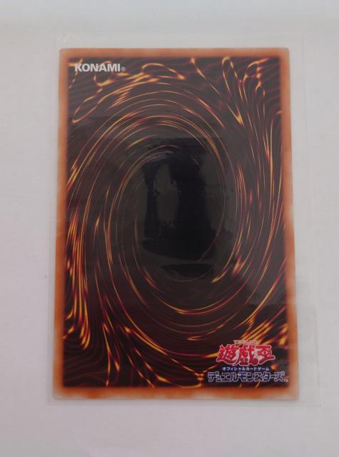 VYfGX^[Y ItBVJ[hQ[ d̕ 㩃J[h 74854609 742