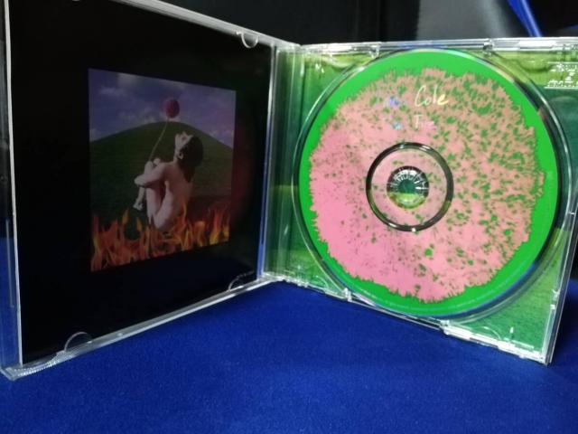 yCDz|[ER[^This Fire  CD/DVD/rfI 