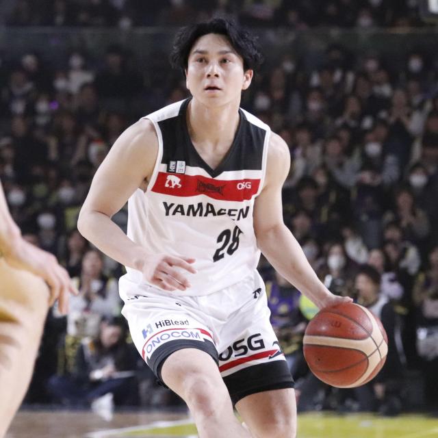 #28 É ꋅI蒅pEMTC胆jtH[iAWAYj ㉺Zbg@CSbydl