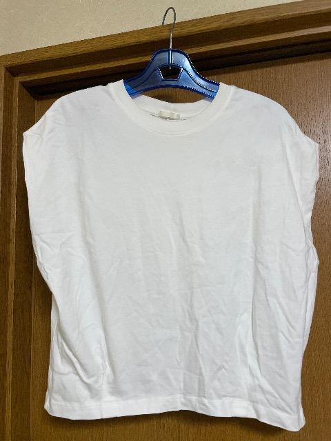 GU:�m�[�X���[�u:T�V���c  �� �u�����h�� 