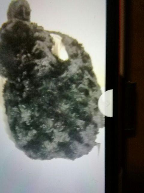 ݂ӂ_CJbgǁ[ތ^Ă{bNX  zr[ 