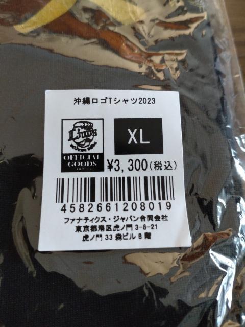 ʐCIY2023 ꃍSsVc wkTCY  W[/X|[c 