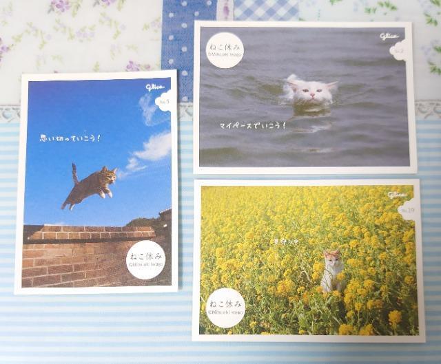 ■シールコレクション■~ねこ休み~3枚 < インテリア/ライフ ■シールコレクション■~ねこ休み~3枚 < インテリア/ライフの