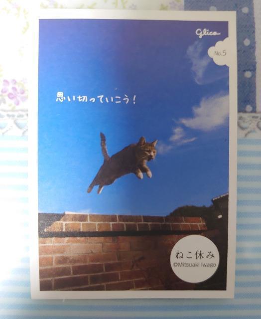 ■シールコレクション■~ねこ休み~3枚 < インテリア/ライフ ■シールコレクション■~ねこ休み~3枚 < インテリア/ライフの