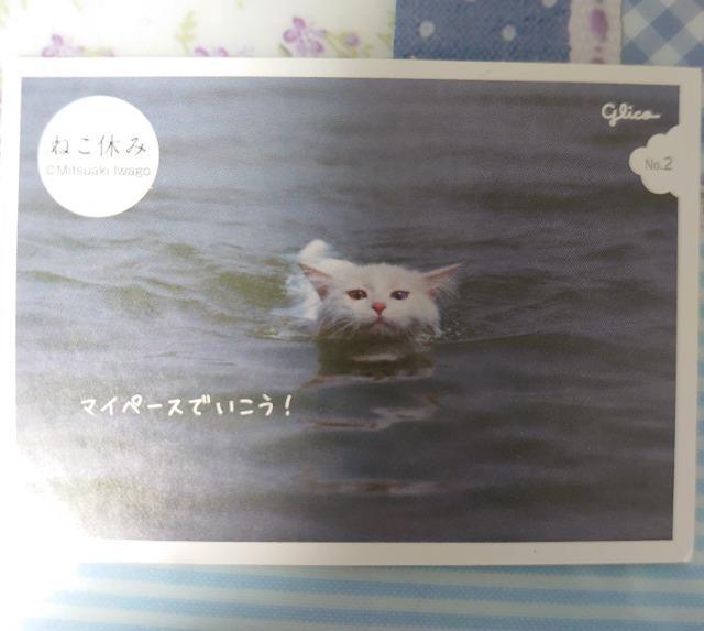 ■シールコレクション■~ねこ休み~3枚 < インテリア/ライフ ■シールコレクション■~ねこ休み~3枚 < インテリア/ライフの