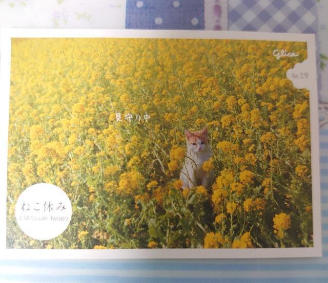 ■シールコレクション■~ねこ休み~3枚 < インテリア/ライフ ■シールコレクション■~ねこ休み~3枚 < インテリア/ライフの