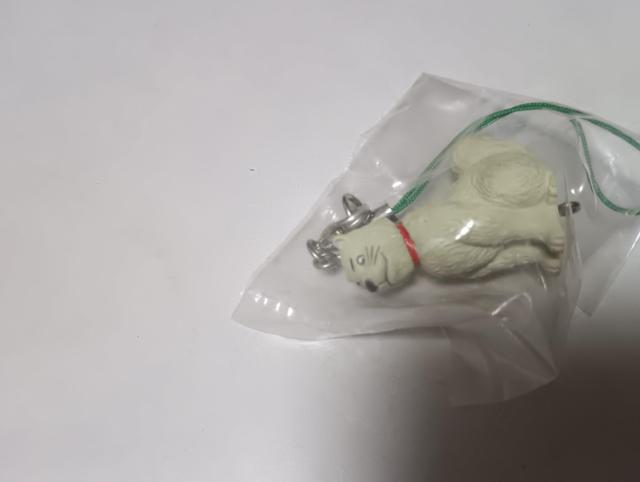 わんぽストラップ < ホビー わんぽストラップ < ホビーの