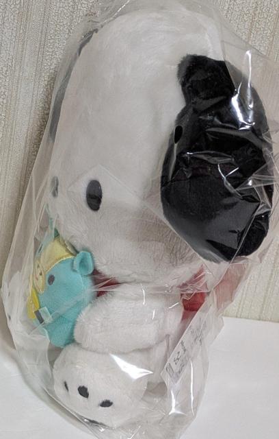 ���|�`���b�R�@���x�ʂ�����݁@2026 �� �� ��������� 