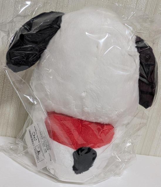 ���|�`���b�R�@���x�ʂ�����݁@2026 �� �� ��������� 