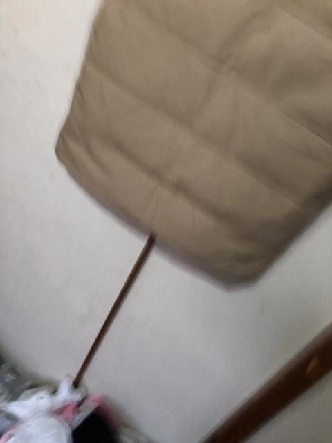 �H�уx�X�g�@�_�E���x�X�g�@�j�����p�@�x�[�W�� �� �����t�@�b�V������ 