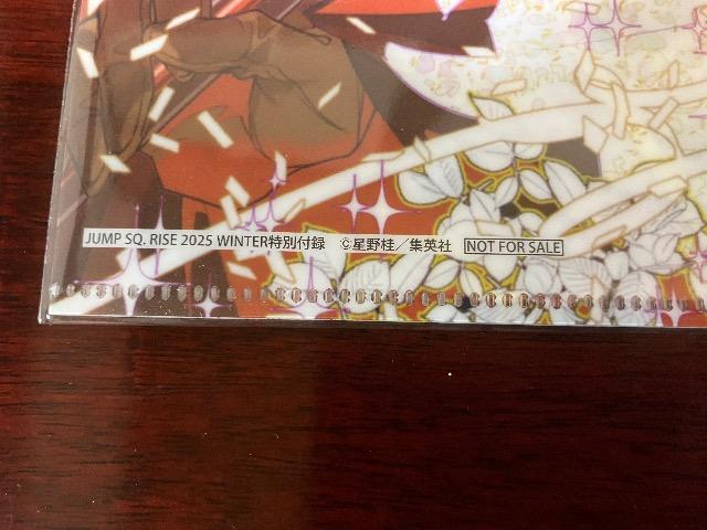 D.Gray-man二つ折りB5クリアファイル < アニメ/コミック/キャラクター  D.Gray-man二つ折りB5クリアファイル < アニメ/コミック/キャラクターの