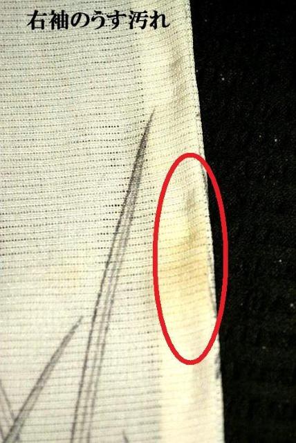 夏物 小紋 中古 送料無料 身丈153.5cm 裄丈62.5cm 極上 絽 洗える着物 蝶に草柄 バチ衿 カジュアル T3592 < 女性ファッション  夏物 小紋 中古 送料無料 身丈153.5cm 裄丈62.5cm 極上 絽 洗える着物 蝶に草柄 バチ衿 カジュアル T3592 < 女性ファッションの