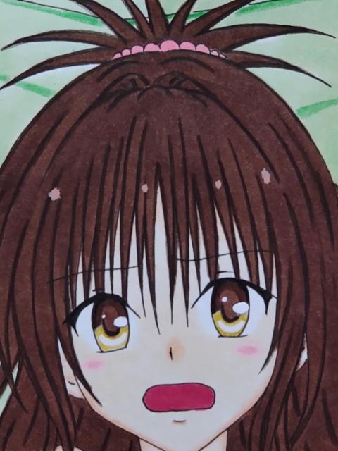 ����C���X�g/TOLOVE��/�������/�����ݒ� 