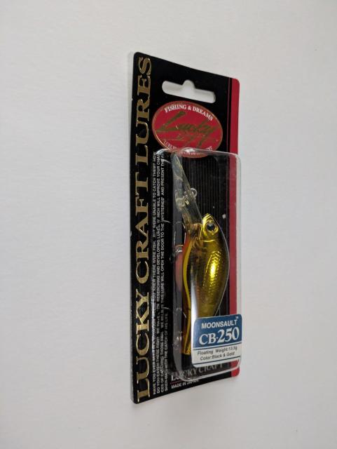 �V�i�@�@���b�L�[�N���t�g�@�@�@CB?250�@�@�@�@�@�@Black��Gold �@�@�@  �� ���W���[/�X�|�[�c�� 