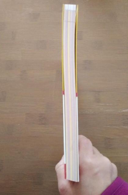 �܂�݃L�b�`���u���C�P�����͂�v �� �{/�G���� 